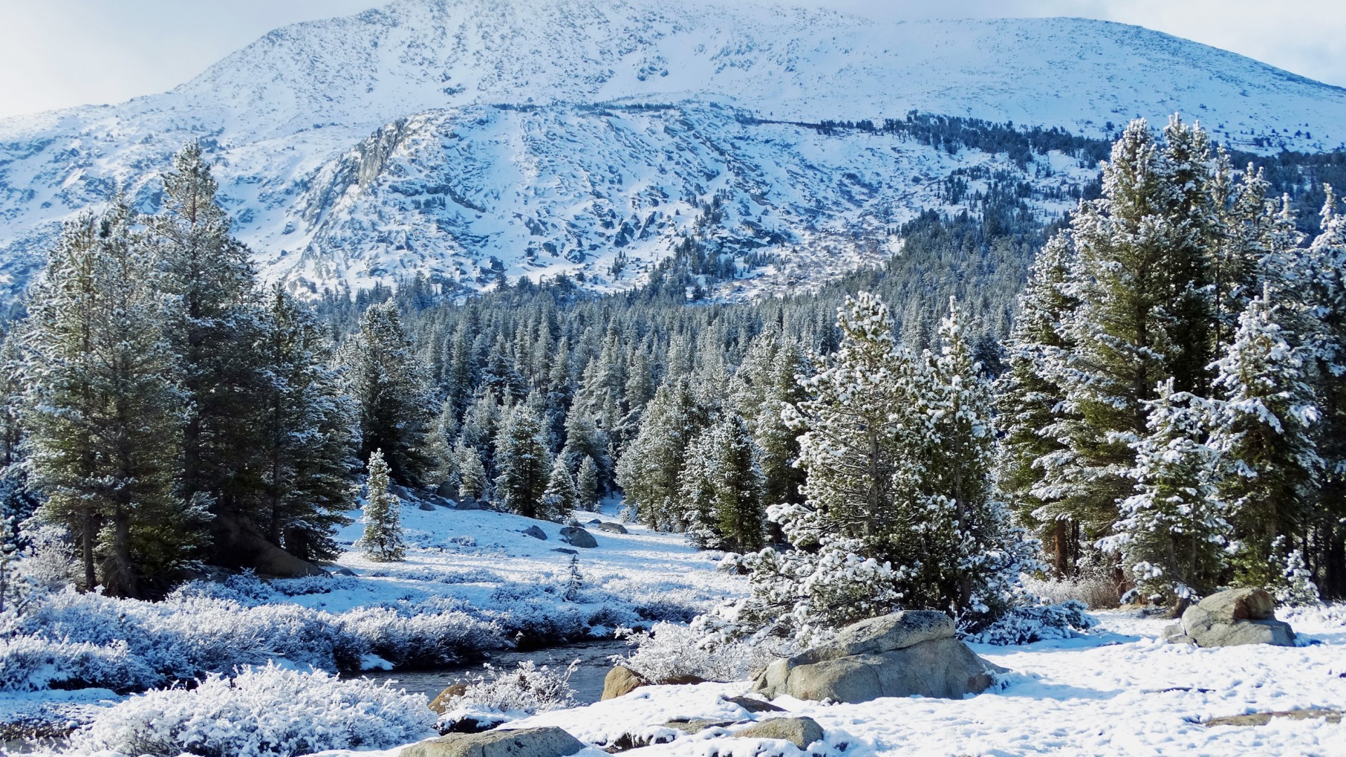 Primary hero still for "Nordvale Outerwear — "Cold Front"" — wide graded frame.